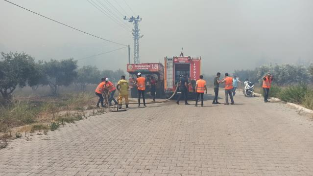 Osmaniye Merkez ilçede orman yangını